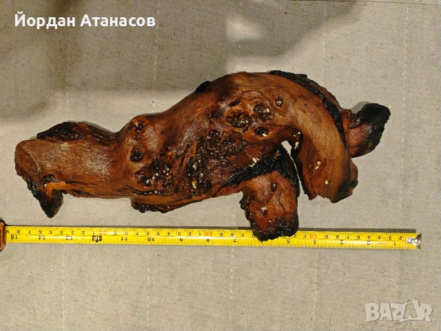 Корени мопани за аквариум , снимка 4 - Оборудване за аквариуми - 54812874