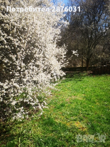 УПИ в Банкя, снимка 3 - Парцели - 48395741