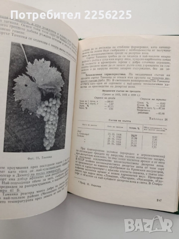 Ампелография 1976г., снимка 4 - Специализирана литература - 55420349