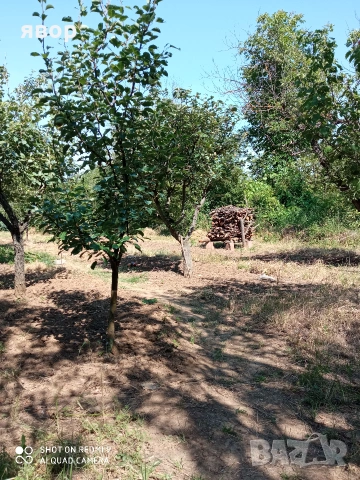 Дворно място във месността Стражата, снимка 7 - Парцели - 54982248