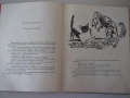 Книга "Съкровищница - Ангел Каралийчев" - 260 стр., снимка 3