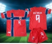 HAALAND 9 ❤️⚽️ детско юношески футболни екипи 🇳🇴 NORWAY 🇳🇴 , снимка 1
