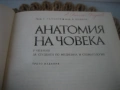 Анатомия на човека - 1977 г., снимка 3