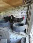Продавам Черен мед маран, снимка 2