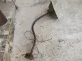 Стара улична лампа, снимка 4