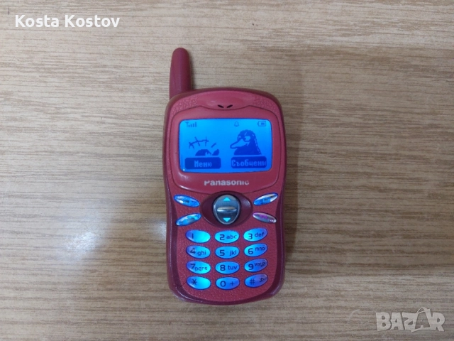 Panasonic EB-A100