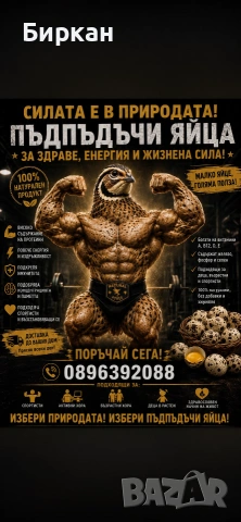 Пътпъдъчи яйца пресни за люпене
