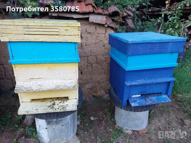 Продавам Пчелни Семейства 