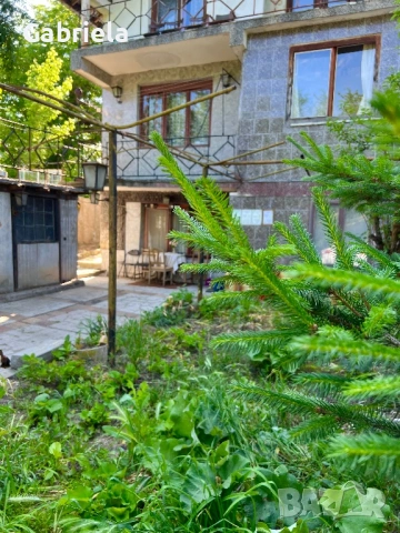 Продаваме къща в село Гривица