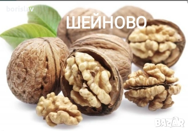 Орехи, плодни дръвчета