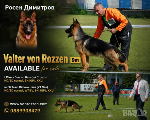 Valter von Rozzen 