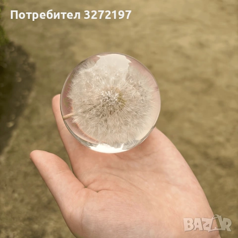 FUFIZU Кристална топка-глухарче, снимка 10 - Декорация за дома - 54090656