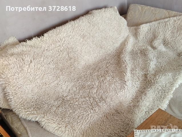 китеници от естествена вълна