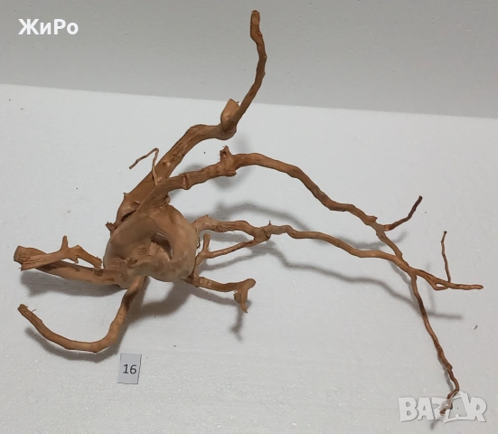 Корен от Азалия /декорация/ 16, снимка 4 - Други - 53401565