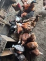 Продавам кокошки 3€ бр., снимка 2
