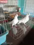 пощи ....................., снимка 1