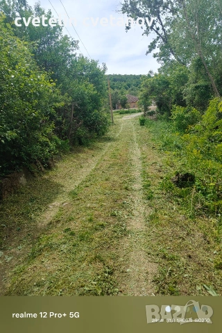Косене и почистване, снимка 3 - Почистване на домове - 54717067