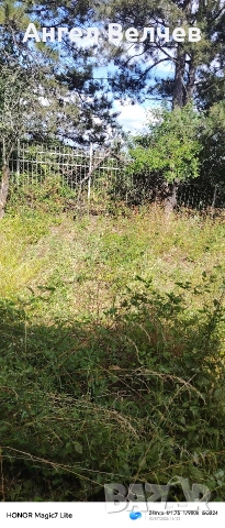 Услуги косене почистване на парцели от трева и храсти, снимка 10 - Други почистващи услуги - 55108747
