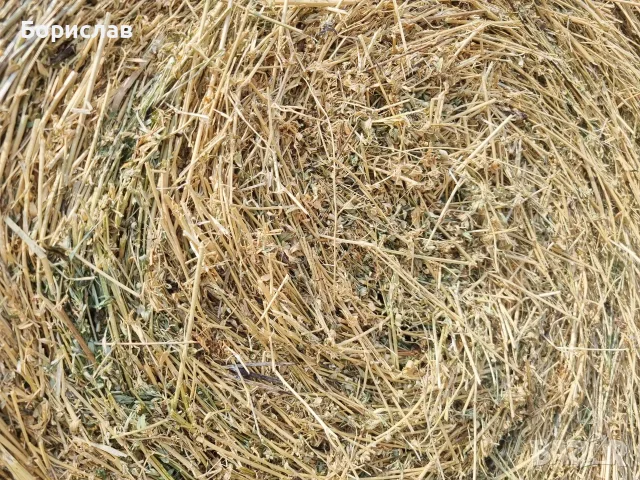 Продавам бали люцерна, 2-ри откос, снимка 2 - За селскостопански - 55352576