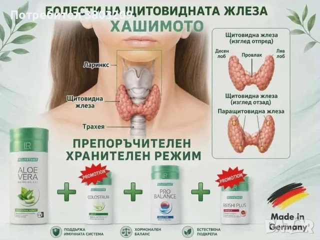 Комплект за хашимото
