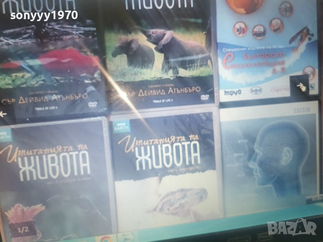 НОВ ДИСК DVD ПО ИЗБОР 2104261817L1, снимка 9 - DVD филми - 54262529