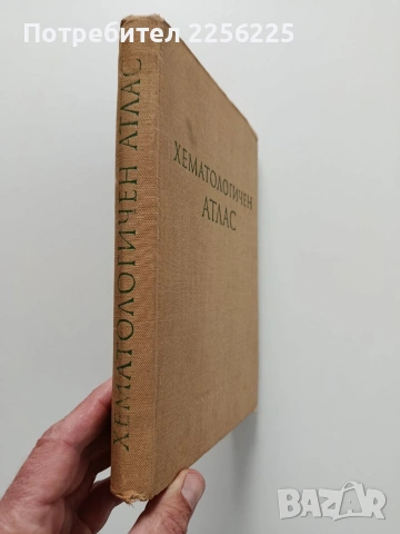 Хематологичен атлас , снимка 10 - Специализирана литература - 54030808