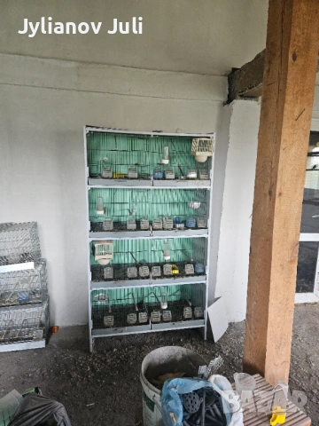 Стелаж за птици