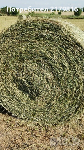 Бали люцерна рулонни втори откос , снимка 2 - За селскостопански - 54478446