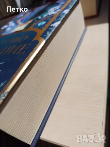 Книга Неистово Почитание от Ребека Рос, снимка 4 - Художествена литература - 55637246