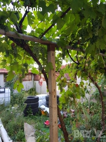 Продава се къща в село Райнино, снимка 16 - Къщи - 55039064
