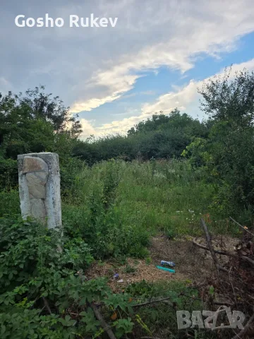 Дворно място в регулация