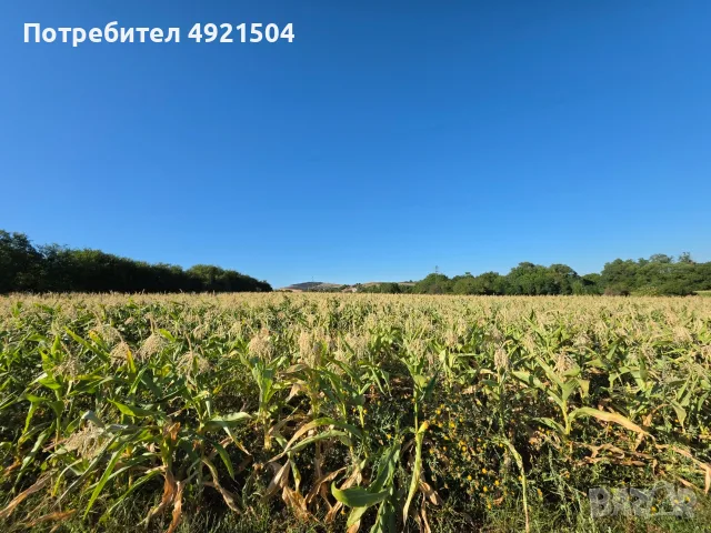 СЛАДКА ЦАРЕВИЦА ОВЕРЛАНД , снимка 5 - Други услуги - 55698571