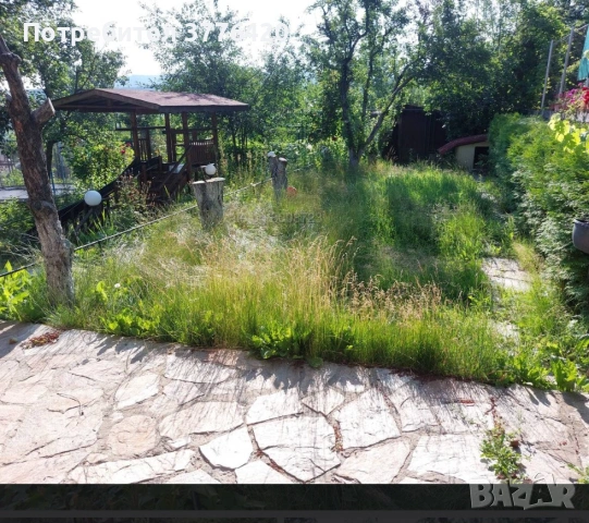 Поддръжка на тревни площи , снимка 4 - Други услуги - 54178883