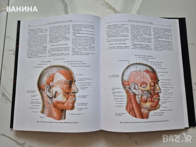 НОВИ! КОЛЕКЦИЯ " АТЛАС ПО АНАТОМИЯ НА ЧОВЕКА " Р.Д. СИНЕЛНИКОВ , снимка 7 - Здраве, медицина и спорт - 55137759