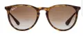 Ray Ban Erika RB4171 710/T5 54, снимка 1