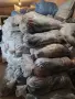 дрехи втора употреба на чувал, снимка 1