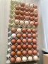 Био пресни домашни яйца, снимка 2