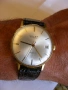 Прекрасен Selza 17 Jewels Incabloc Swiss Made, снимка 2