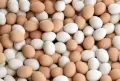 яйца от домашни кокошки , снимка 2