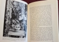Визуална история на английското изобразително изкуство / A Concise History of English Painting, снимка 15