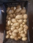 Пресни домашни картофи , снимка 2