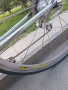 de ROSA, снимка 18
