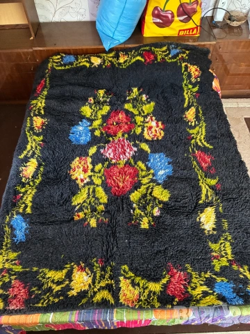 Вълнен китеник
