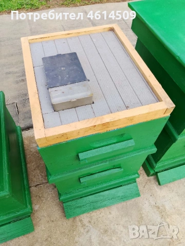 Кошери , снимка 3 - Други животни - 54303600