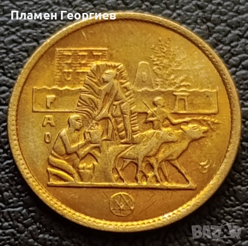 5 пиасти Египет 1977 ФАО