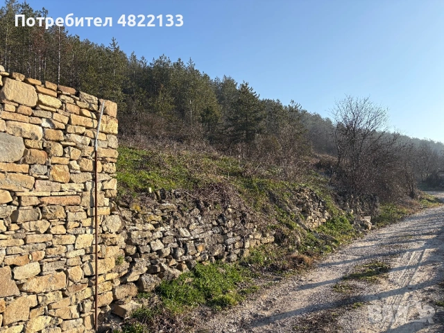 Парцел гр.Дебелец с панорамна гледка до борова гора в регулация, снимка 5 - Парцели - 54481246