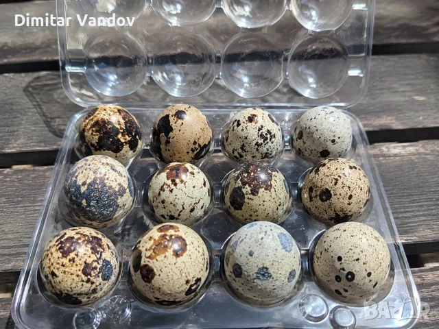Пресни кокоши и пъдпъдъчи яйца , снимка 3 - Домашни продукти - 55338116