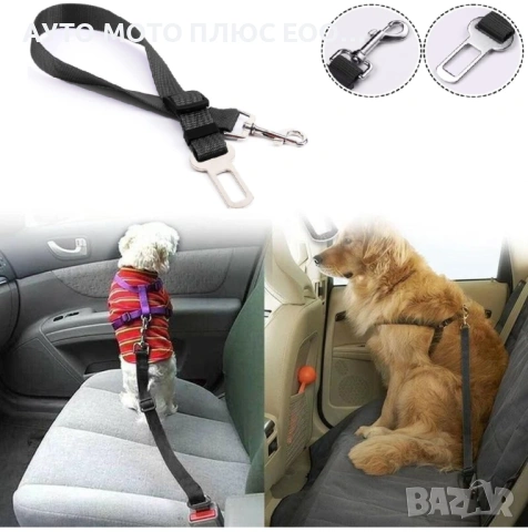 Регулируем предпазен колан за домашен любимец в автомобил. 