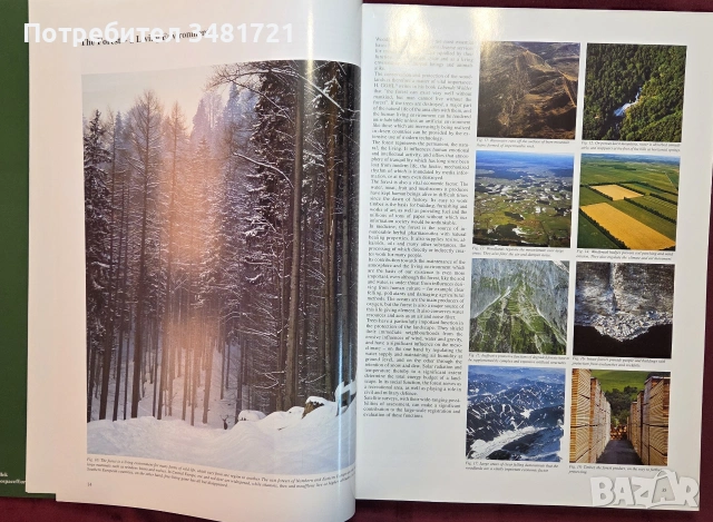 Голям сателитен атлас - горите на Европа / Satellite Remote Sensing Forest Atlas of Europe, снимка 4 - Пътеводители, карти и атласи - 54960099