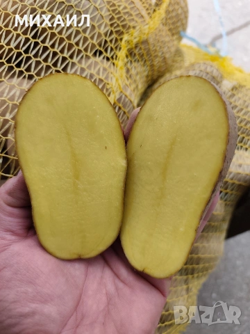Картофи Сорая за консумация 